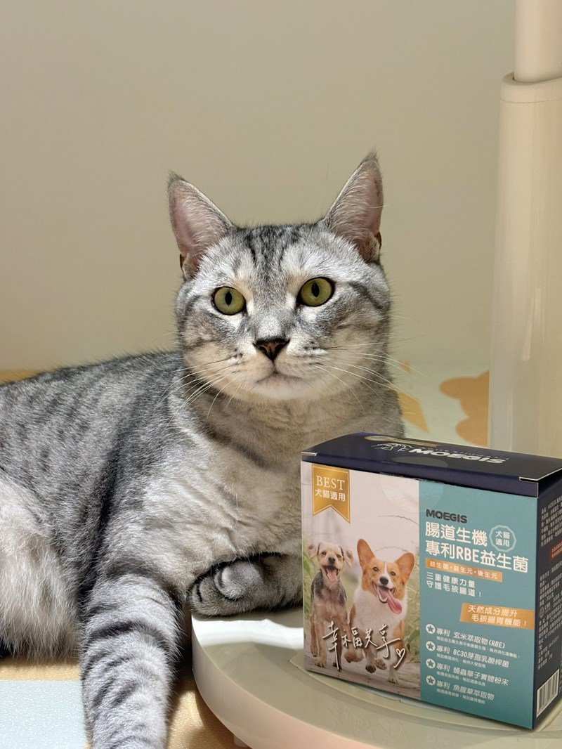 女人知己試用大隊,口碑行銷,部落客行銷,Moegis萌吉 腸道生機專利RBE益生菌,寵物益生菌,專利RBE益生元,專利蔬果酵素,小分子胜肽,藍藻粉,維持免疫力,幫助維持消化道機能,維持正常食慾,改變細菌叢生態,腸胃保健,犬貓適用